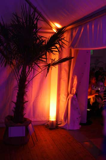 TUBE LED projecteur à LED pour décoration de salle